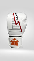 Gants de boxe "Chase"