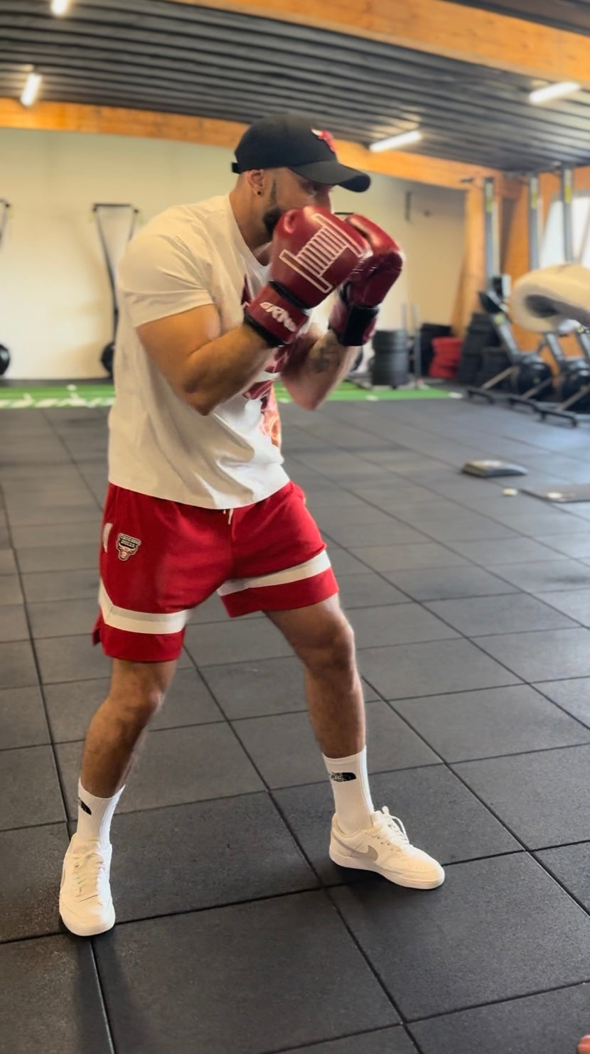 Gants de boxe "GIFTED"