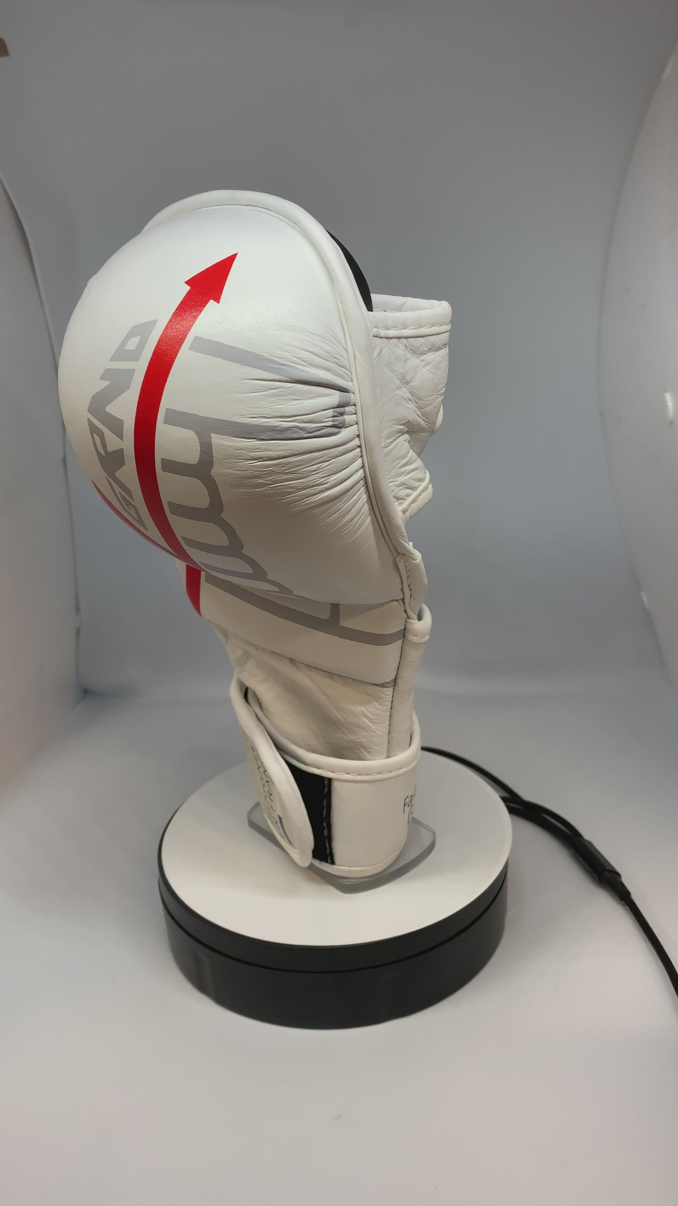 Gants de MMA "GP-1" Blanc